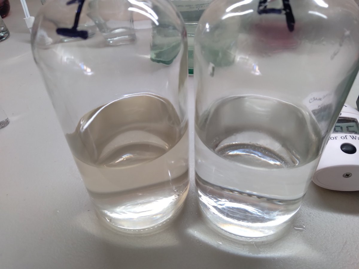 Two clear beakers containing water samples, labeled with numbers, in a laboratory setting