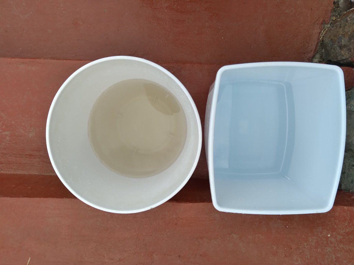 Two empty white food containers on a reddish-brown surface: a round bowl on the left and a square dish on the right
