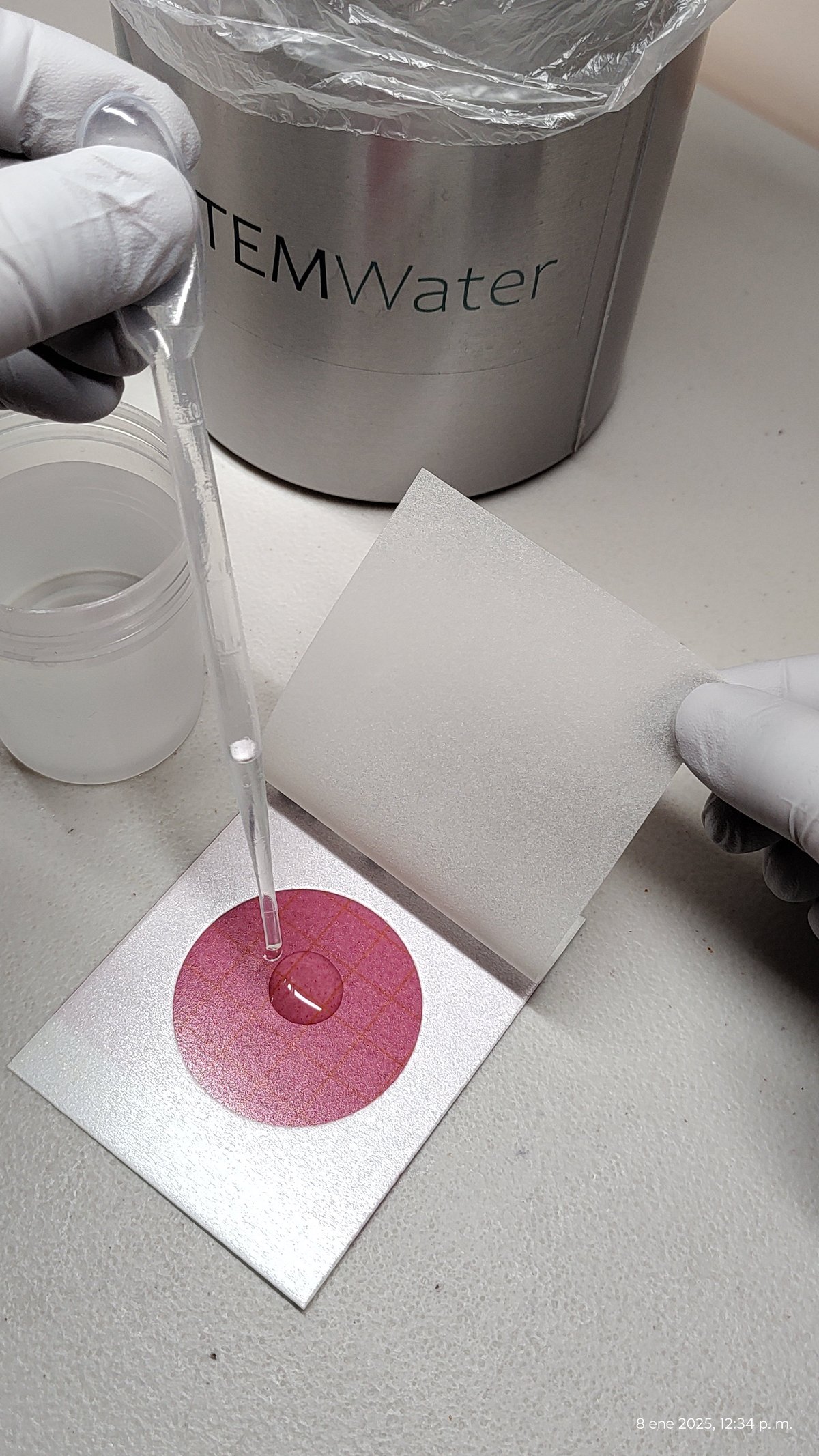 Laboratory setup showing TEMWater container with liquid being dripped onto a pink-stained circular filter paper, with gloved hands and collection vial visible